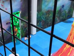 -天空之城蹦床攀岩运动馆·团建拓展·亲子游乐·生日派对(合肥店)