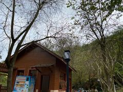 -广州白江湖森林公园