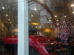-柏斯琴行(汾阳店)