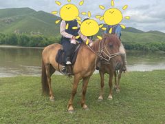 -额尔古纳黑山头绿野马帮骑马场
