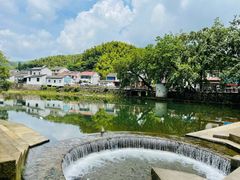 -四明山国家森林公园