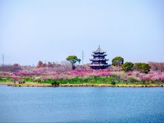 -上海海湾国家森林公园