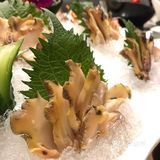 超超超超大號～ 