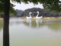-千岛湖龙川湾