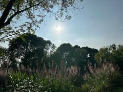 -梁鸿国家湿地公园