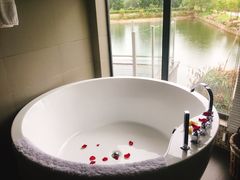 -帐篷客·溪龙茶谷度假酒店