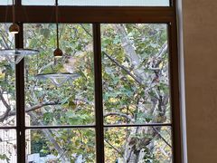 -神仙馆(衡山路店)