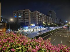 -珠江夜游广州塔·中大码头