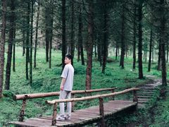 -硗碛藏寨·神木垒景区