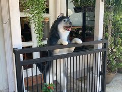 -TrueLove @ Neverland (Husky Cafe)