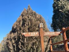 -佛慧山