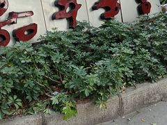 -嘉年华会水疗会(大剧院站E出口店)