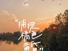 -三垟湿地