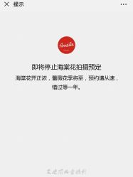 -艾米丽儿童摄影