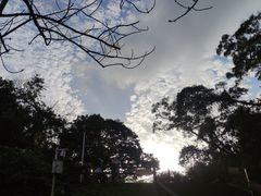 -海口火山口国家地质公园