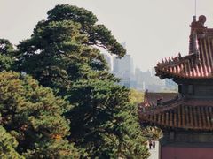 -北陵公园