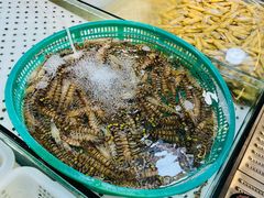 -新农都水产市场