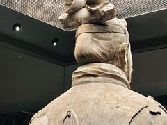 -秦始皇帝陵博物院(兵马俑)