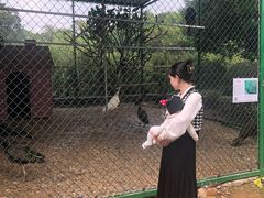 -南宁荔园维景国际酒店·荔园中餐厅