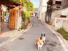 -三亚西岛海洋文化旅游区