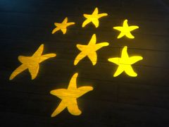 -太平洋海底世界