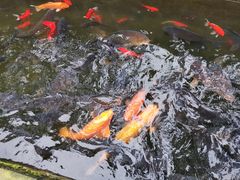 -什邡罗汉寺