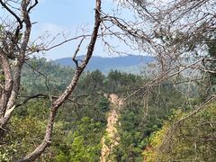 -青龙山国家森林公园