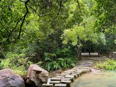 -广州白江湖森林公园