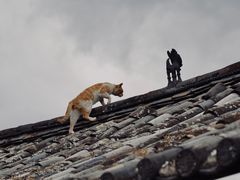 -田德能咖啡博物馆