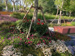 -春花秋色城市公园