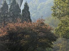-天明山温泉大酒店