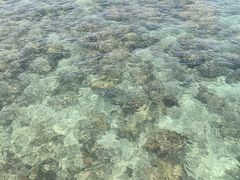 -三亚西岛海洋文化旅游区