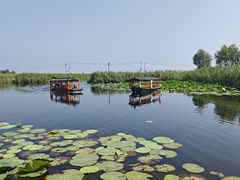 -白洋淀风景区