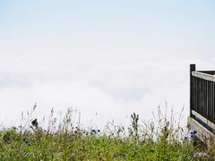 -白草畔自然风景区