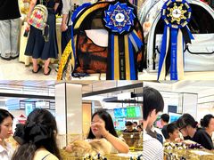 -帕帕拉兹宠物(亚洲旗舰店)