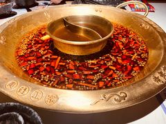 -哥老官重庆美蛙鱼头(西湖银泰十一哥店)