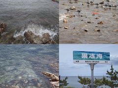-养马岛旅游度假区