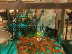 -永和铂爵国际酒店-威斯蒂娜西餐厅