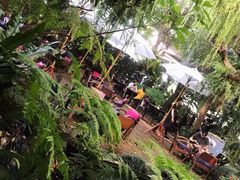 -Fern Forest Cafe