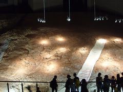 -世界恐龙谷景区