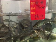 水产区-小乡小镇·传承桐庐土菜·老板亲自烧的菜