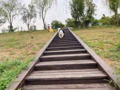 -洨河生态公园
