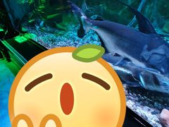 -正佳极地海洋世界