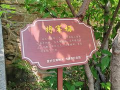 -泰山风景名胜区-普照寺