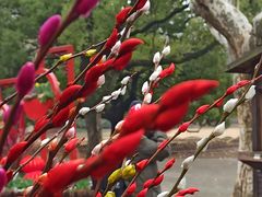 -共青国家森林公园-游客服务中心