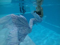 -上海潜殿潜水中心