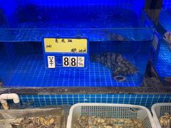 -毓聪妈妈菜(合肥路店)