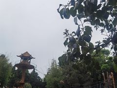 -昆明动物园