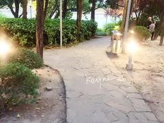 -嘉定紫藤园