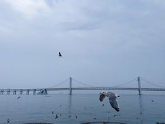 -星海广场